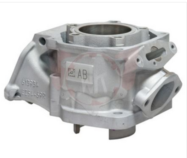Zylinder 2024 DD2 54,010 - 54,015mm